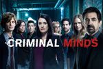 kabel eins: Criminal Minds