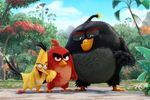 Super RTL: Angry Birds - Der Film