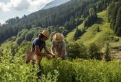 Zwischen Almen und Palmen - Genussland Südtirol