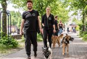 Großes Herz für schwierige Hunde - Tierheim-Chef im Dauereinsatz