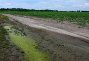 Vergifteter Boden, verseuchtes Wasser - Wie Chemie-Altlasten Generationen belasten
