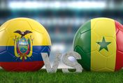 Fußball: Weltmeisterschaft - Ecuador - Senegal, Vorrunde Gruppe A