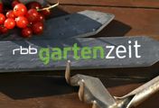 rbb Gartenzeit - rbb Gartenzeit vom 23.01.2022