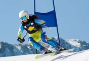 Alpine Ski-WM Super-G Männer