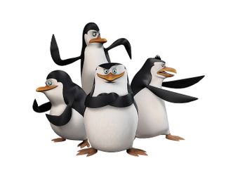 Die Pinguine aus Madagascar