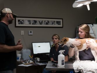 Heartland Docs - Die Tierarzt-Familie