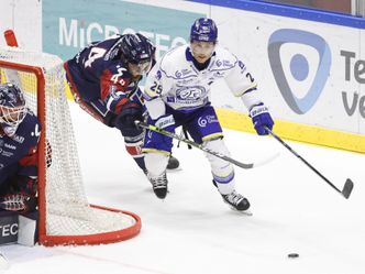 Eishockey - Svenska Hockeyligan - Skellefteå AIK - Leksands IF, 19. Spieltag
