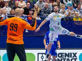 Handball: LIQUI MOLY HBL - SC DHfK Leipzig - SG Flensburg-Handewitt, 15. Spieltag