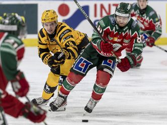 Eishockey - Svenska Hockeyligan - Skellefteå AIK - Frölunda HC, 37. Spieltag