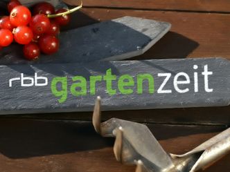 rbb Gartenzeit Spezial - Künstler*innen und ihre Refugien