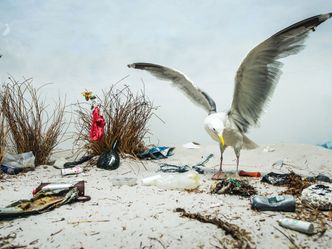 Eine Frau kämpft gegen Plastik im Meer