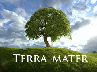 Terra Mater - Unser Mittelmeer