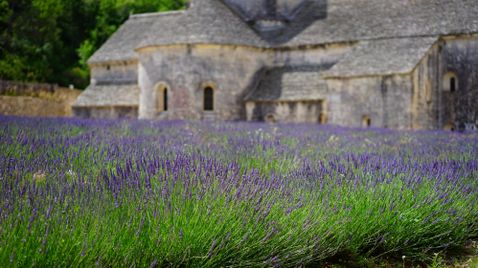 Die Provence - Frankreichs leuchtender Süden | 