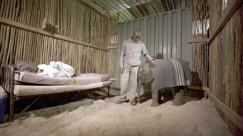 Naledi - Ein Elefantenleben | 
