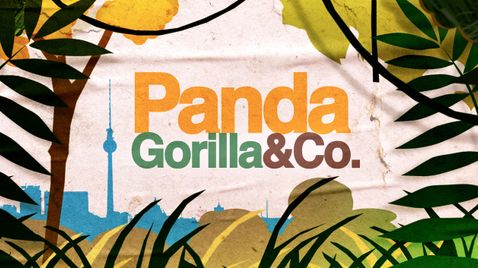 Panda, Gorilla & Co