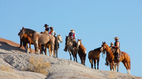 Mustangs - Lebende Legenden auf Bergblick