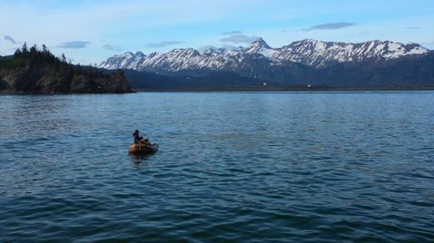 Alaska - Eisige Freiheit auf National Geographic