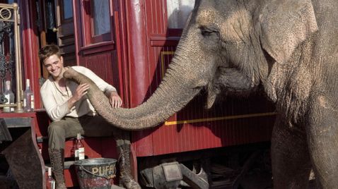 Wasser für die Elefanten