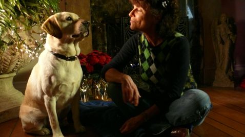 Ein Hund Rettet Weihnachten Im Tv Programm