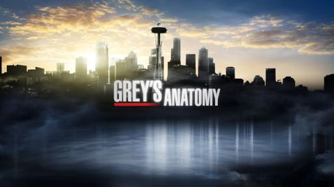Grey's Anatomy | TV-Programm ProSieben