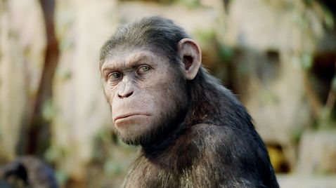 Planet der Affen: Prevolution auf Sky Cinema Best Of