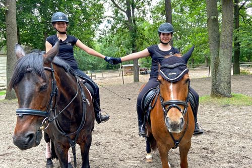#WIR - Freundschaft grenzenlos - Voltigieren: Turnen auf dem Pferd