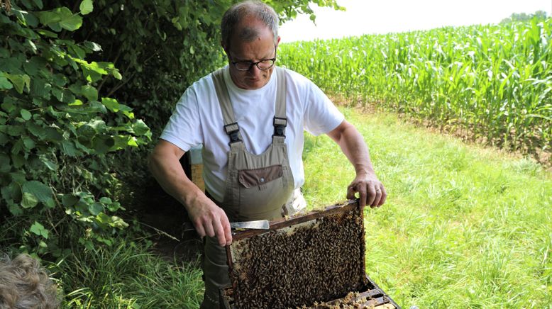 BAYER, Bauern und die Bienen - Ein Konzern unter Druck